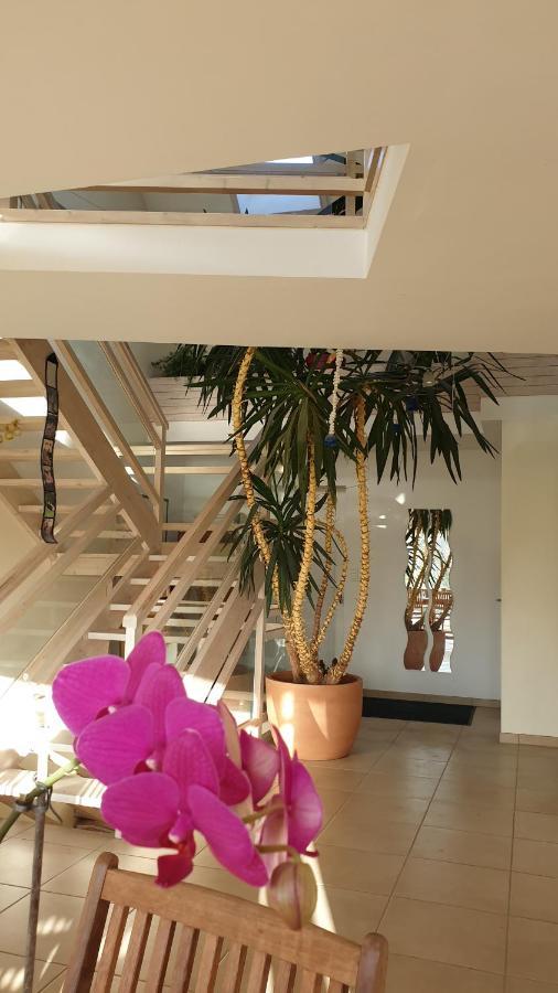 Grande maison avec SPA proche de CAEN et de la mer Brouay Extérieur photo